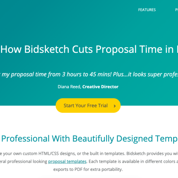 Bidsketch Proposal Software Review