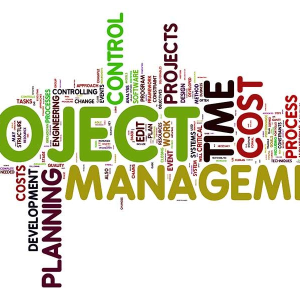 Three Best Project Management Software for Freelancers in 2022