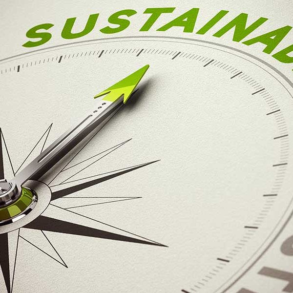 Freelancers worldwide care about the environment in these ways